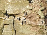 DSC_9695.JPG