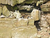 DSC_9697.JPG