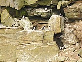DSC_9698.JPG