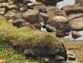 DSC_9701.JPG