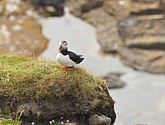 DSC_9706.JPG