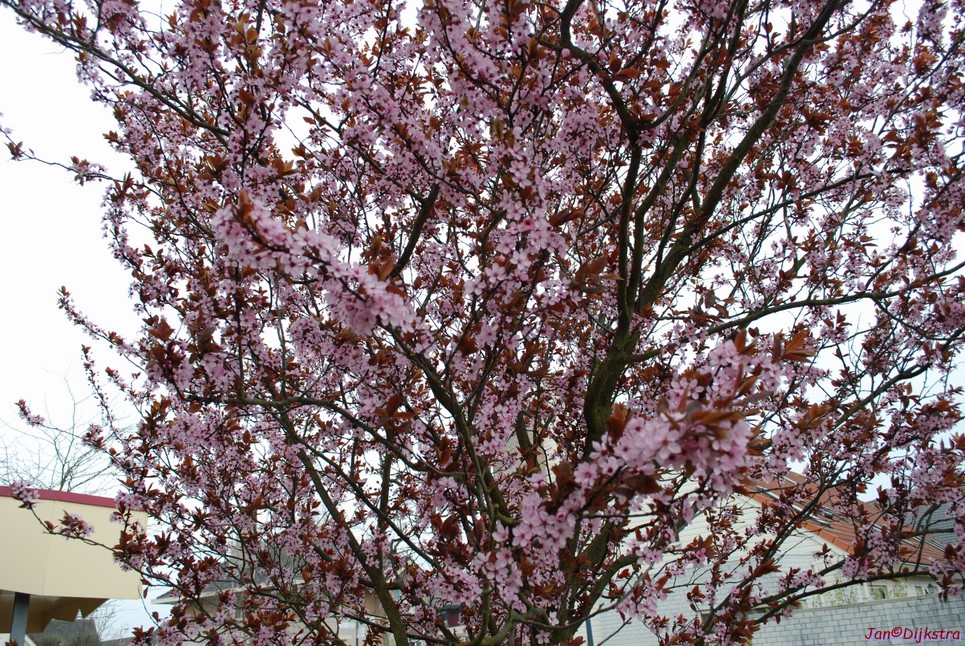DSC-0002.JPG
