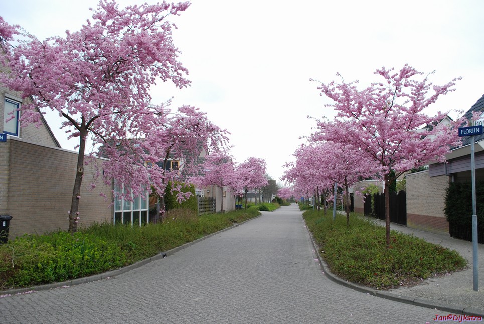 DSC-0010.JPG