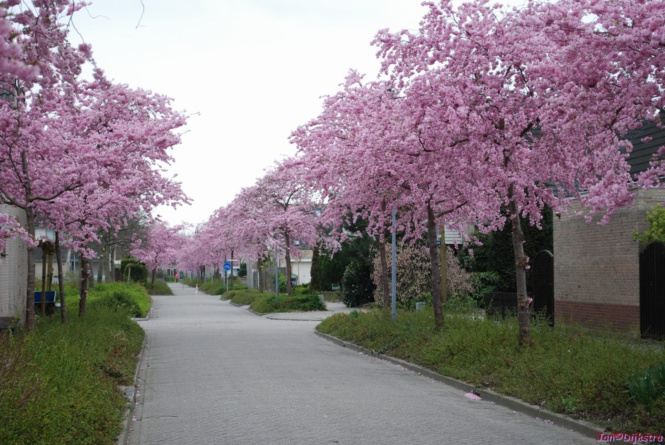 DSC-0012.JPG