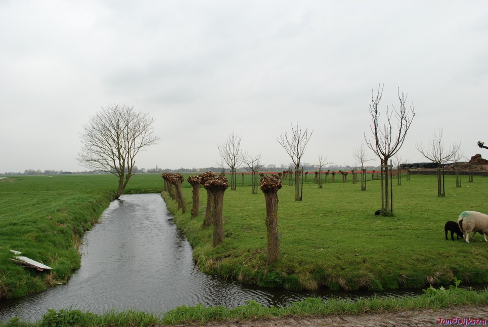 DSC-0022.JPG