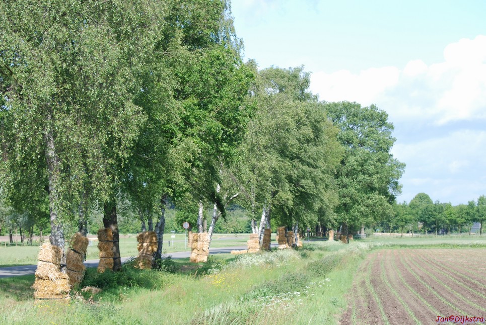 DSC-0063.JPG