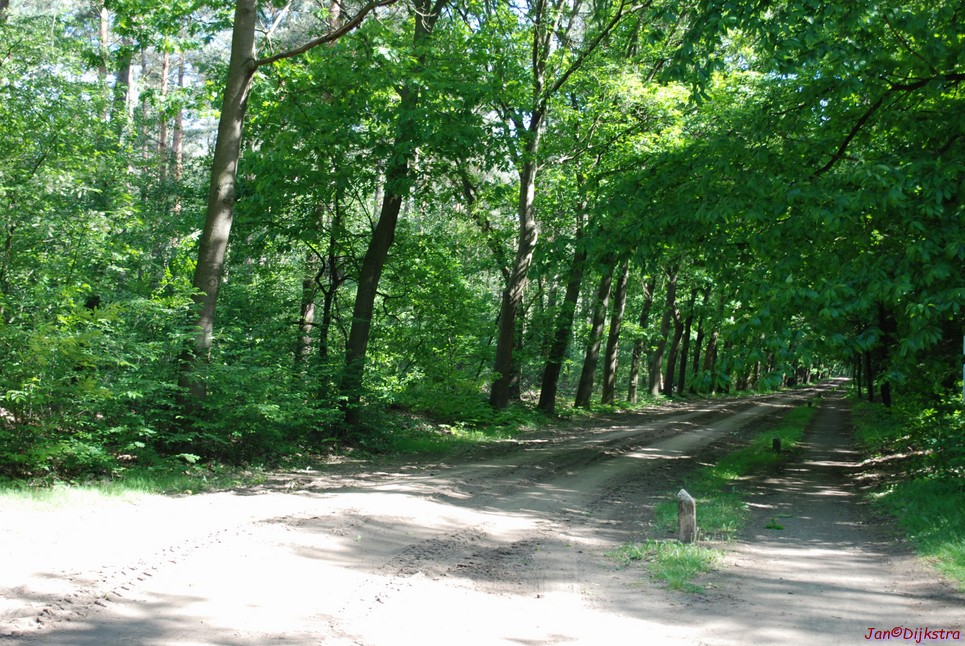 DSC-0081.JPG