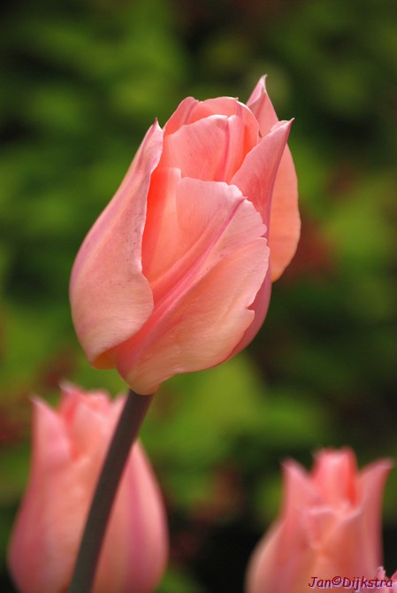 DSC_0160.JPG