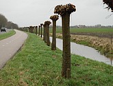 DSC-0004.JPG