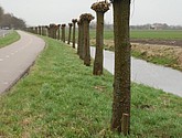 DSC-0005.JPG