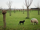 DSC-0020.JPG