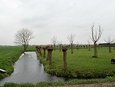 DSC-0022.JPG