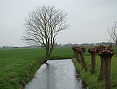 DSC-0026.JPG
