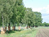 DSC-0063.JPG