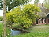 DSC-0066.JPG