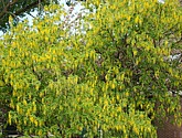 DSC-0067.JPG