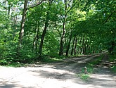 DSC-0081.JPG