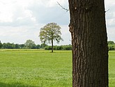 DSC-0144.JPG