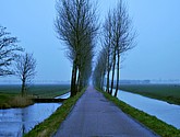 DSC-1779-2.jpg