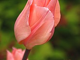DSC_0160.JPG