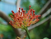 DSC_0175.JPG