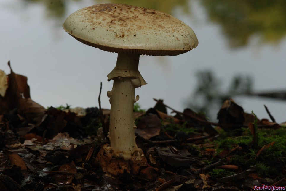 DSC_0157.JPG