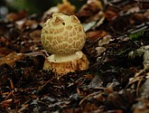 DSC_0148.JPG