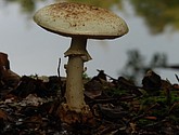 DSC_0157.JPG