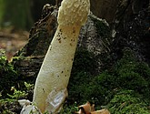 DSC_0286-1.jpg