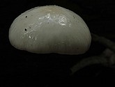 DSC_0291.JPG