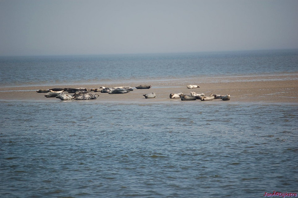 dsc_0053.jpg