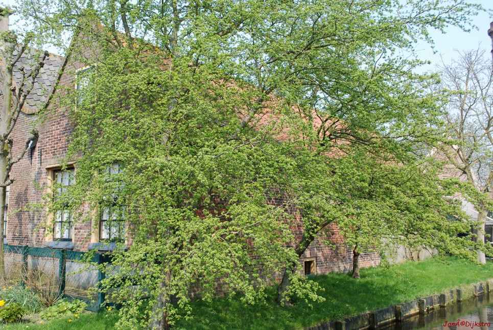 dsc_0062.jpg