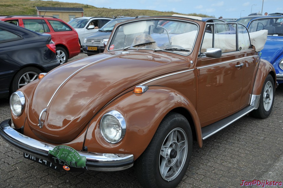 DSC_4566.JPG