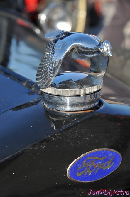 dsc_1182.jpg