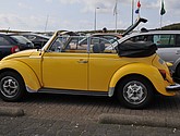 DSC_4562.JPG