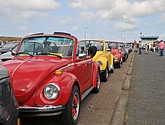 DSC_4563.JPG
