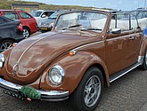 DSC_4566.JPG
