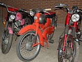 dsc_0037.jpg