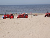 dsc_0110.jpg