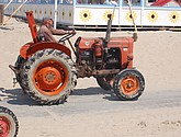 dsc_0137.jpg