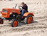 dsc_0198.jpg