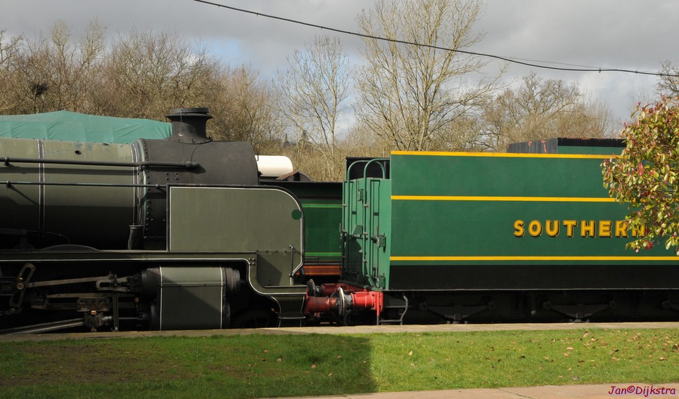 DSC_0605.JPG