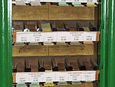 DSC_0561.JPG