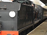 DSC_0622.JPG