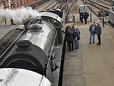 DSC_0626.JPG