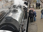 DSC_0627.JPG
