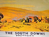 ZDSC_0595.JPG