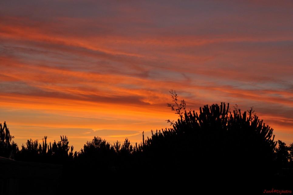 DSC_4122.JPG