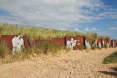 DSC_4937.JPG