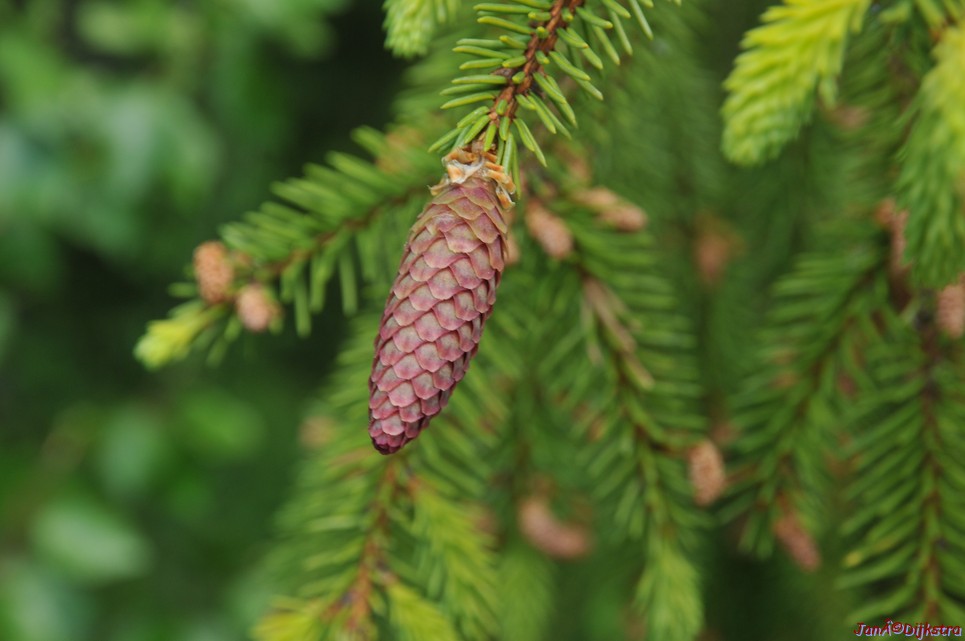 dsc_3390.jpg
